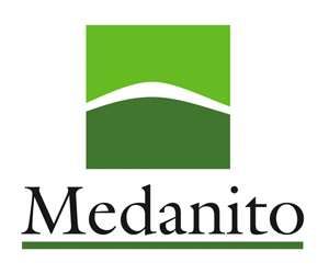 Medanito