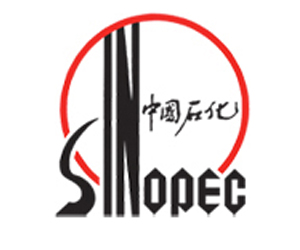 Sinopec Argentina Exploration and Production INC.